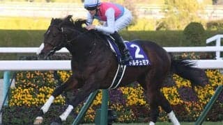 【NHKマイルC見どころ】2歳マイル王ドルチェモアの復権なるか