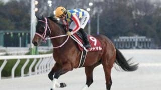 3日連続DGに“ヘルシェイク矢野”出走 GW中は地方競馬がアツい！