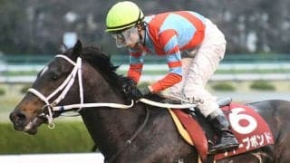 ディープボンドがGI級未勝利馬の歴代賞金ランキング1位に 総賞金は6億4591万3800円