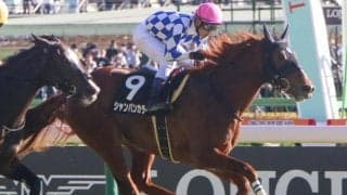 東京マイルで2戦2勝 NHKマイルCに舞台適性十分の注目馬が参戦