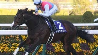 【NHKマイルC想定騎手】ドルチェモアは三浦皇成騎手、エエヤンは戸崎圭太騎手