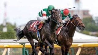 青葉賞からダービーへ 大レース向きの底力持ち今後も有力候補に