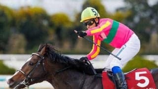 61kg背負うテイエムサウスダン＆フェブラリーS4着ドライスタウトら 2日かきつばた記念に参戦