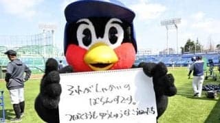 つば九郎の人生相談「後輩のほうが優秀で嫉妬してしまいます」