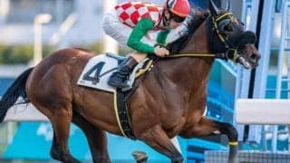 【若潮スプリント＆東京湾C注目馬】GWは船橋競馬で重賞3連発 2日・3日は3歳重賞