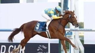 【ケンタッキーダービー枠順】デルマソトガケは17番ゲート、コンティノアールは20番ゲート