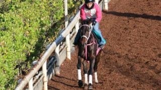 プロキシマの2021(カリンテラス)など、先週のゲート試験/栗東トレセンニュース