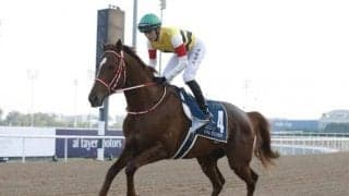 ケンタッキーダービー出走の2頭は調整順調も 矢作師「外枠ばかりで自分が呪われているのでは」