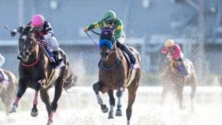 【かきつばた記念】ウィルソンテソーロが大接戦を制する