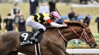 【ケンタッキーダービー】コンティノアールは20番ゲート…矢作師「良い枠ではないですね」
