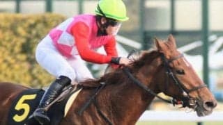 一族に東京巧者ズラリ　NHKマイルCはユリーシャの激走に期待