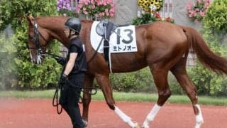 【兵庫CS】武豊 ミトノオーは5枠6番