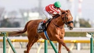 【新潟大賞典予想オッズ】スパイダーゴールドが予想1番人気