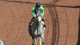 マリアエレーナなど、先週の入厩情報/栗東トレセンニュース