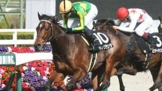 【京都新聞杯予想オッズ】サトノグランツが予想1番人気