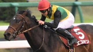 負の流れは止めたらエエヤン！ NHKマイルC10連敗中のニュージーランドT覇者が今年こそ決める