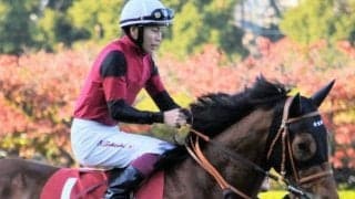 デピュティミニスター系が高配連発のNHKマイルC 堅実派ショーモンの激走があるぞ