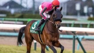 【京都新聞杯展望】ダービーへ向け重要な一戦、上がりが掛かり差しが台頭する