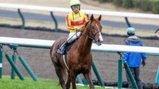 圧勝続くミトノオー VS 地方馬22年ぶりV目指すベラジオソノダラブ きょう兵庫CS