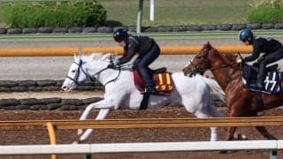 ソダシ、ヴィクトリアM1週前追い切り速報/栗東トレセンニュース