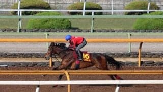 メイケイエール、ヴィクトリアM1週前追い切り速報/栗東トレセンニュース