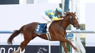 デルマソトガケが4F49.60秒のタイムで追い切り 陣営「馬は順調に競馬へ向かっている」