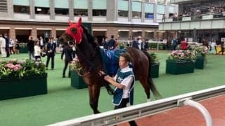 【JRA】香港チャンピオンズデー遠征の日本馬4頭が帰国