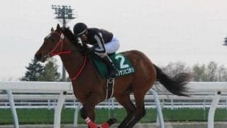 一番星はキタサンミカヅキ 今年産駒デビュー予定の37種牡馬で第一号