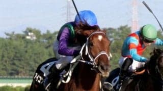 【新潟大賞典】28年ぶり5頭目の牝馬Vなるか 紅一点のアイコンテーラーに注目だ