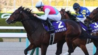 JRA・GI初制覇の騎手が“続出”のNHKマイルC 今年は三浦皇成騎手にビッグチャンス