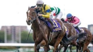 日本ダービー想定馬の収得賞金一覧 現時点のボーダーは1600万円のシャザーン＆マイネルラウレア