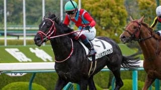 【京都新聞杯予想】今年も2頭が出走 過去2戦2勝と好相性の産駒とは