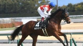 【NHKマイルC予想】AI注目馬をオッズ次第で連軸に レース傾向からも魅力十分！