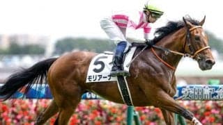 【NHKマイルC展望】高速決着になるレース、持ち時計がない馬は苦戦傾向