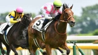 NHKマイルＣは1600ｍに強い「エピファネイア産駒の牝馬」が狙い もう１頭は「母系にアンブライドルド」の血を持つ名門牝系