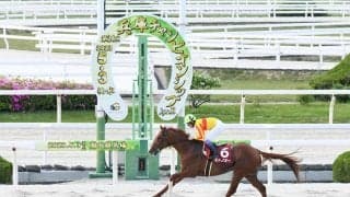 【兵庫CS】下原理「勝ち馬強すぎた」…武豊騎乗、ミトノオーが圧勝
