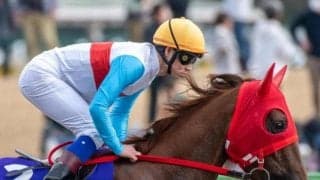 【かしわ記念注目馬】豪華メンバー集った春のダートマイル王決定戦