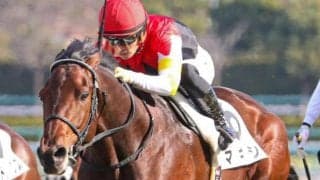 母がGIを制した舞台でV狙う 京都新聞杯は良血マキシの素質に期待