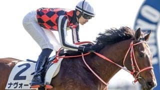 【NHKマイルC】ナヴォーナが3分の1の抽選突破 サトノヴィレ、トーホウガレオンが除外