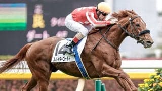 【新潟大賞典出走馬・騎手確定】スパイダーゴールド＆石川裕紀人騎手、キラーアビリティ＆北村友一騎手など16頭
