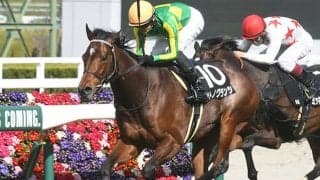 【京都新聞杯出走馬・騎手確定】サトノグランツ＆川田将雅騎手、ダノントルネード＆西村淳也騎手など12頭