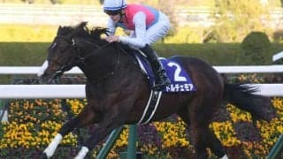 【NHKマイルC・調教後馬体重】ドルチェモアは480kg、カルロヴェローチェは500kg