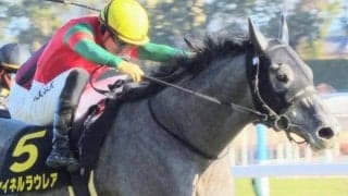 京都芝2200mの十八番血統 京都新聞杯はステイゴールド系の出番だ