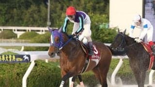 【園田・兵庫大賞典結果】ラッキードリームが人気に応えて重賞8勝目