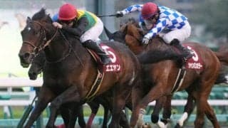 【NHKマイルC】出走馬の調教後の馬体重