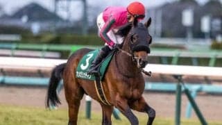 京都新聞杯は社台ファーム生産馬が強い 今年は2頭に注目だ