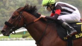 新潟大賞典は前走上がり最速馬が好成績 2頭の該当馬に注目