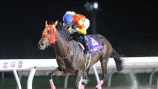【門別・北斗盃結果】ベルピットが単勝1.1倍の支持に応えて7馬身差圧勝
