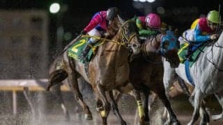 【かしわ記念】メイショウハリオがゴール前の接戦を制して交流G1・2勝目