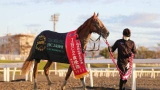 【ホッカイドウ競馬】ゴールデンウィークに入場人員レコード更新